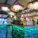 Jungle Bar - 76 Vulture St West End